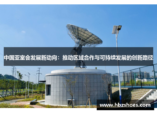 中国亚室会发展新动向:推动区域合作与可持续发展的创新路径 中国亚室会发展新动向:推动区域合作与可持续发展的创新路径