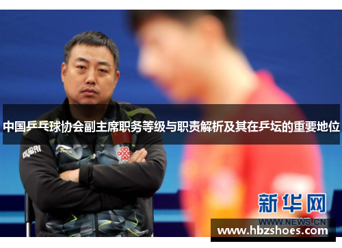 中国乒乓球协会副主席职务等级与职责解析及其在乒坛的重要地位